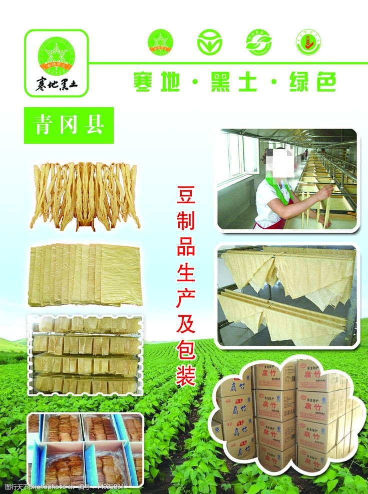 豆制品加工 傳統與現代化的交融之旅